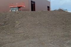 Photo-Feb-03-7-07-59-AM