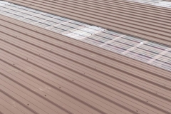 Photo-Jan-30-4-28-22-PM