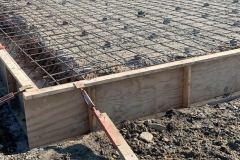 Photo-Nov-15-1-10-27-PM