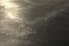 Photo-Nov-19-5-06-18-PM