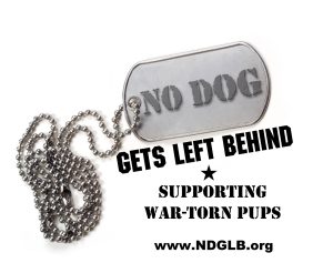 no_dog_gets_left_behind