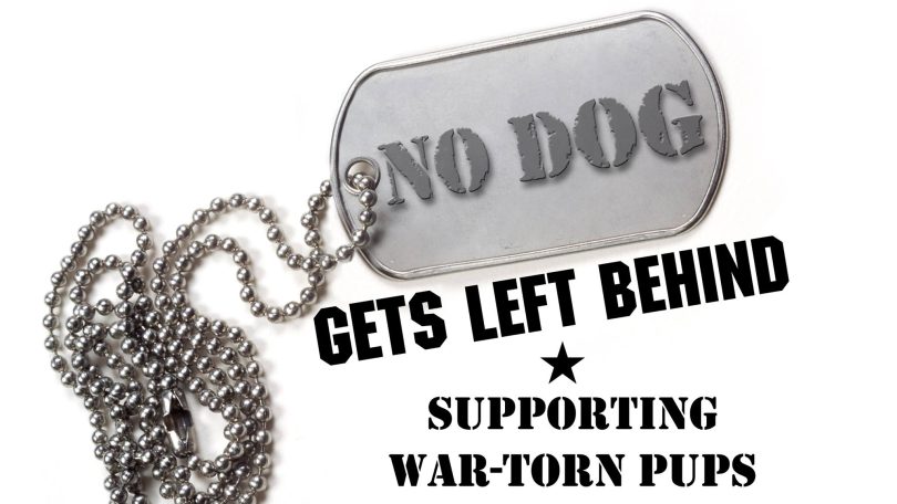 no_dog_gets_left_behind